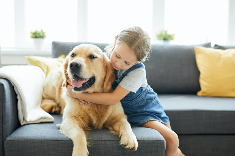 Read more about the article Os cachorros são – mesmo – os melhores amigos das crianças
